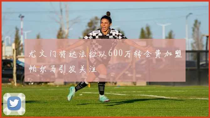 尤文门将达法拉以600万转会费加盟帕尔马引发关注