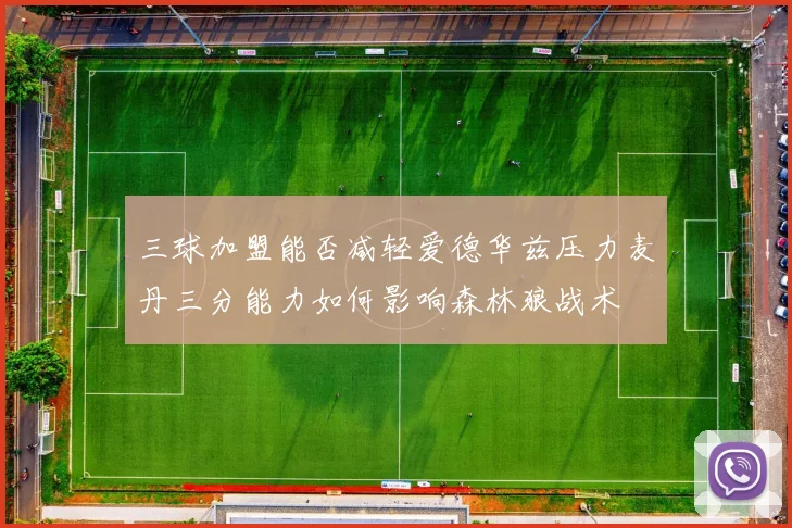 三球加盟能否减轻爱德华兹压力麦丹三分能力如何影响森林狼战术